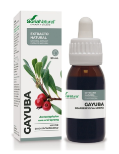 Extracto de Gayuba, 50ml -...