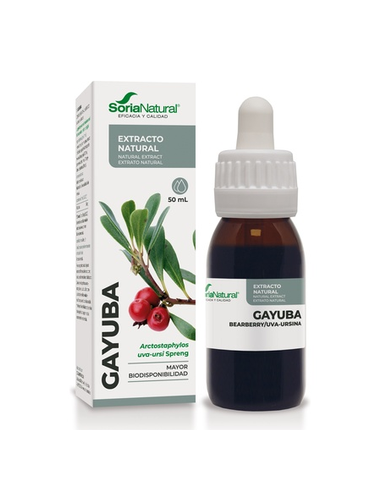 Extracto de Gayuba, 50ml - Soria...