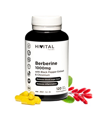 Berberina, 1000mg, 120 cápsulas - Hivital.