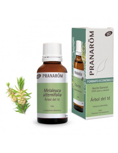 Aceite esencial, árbol del té, BIO, 30ml - Pranarom.