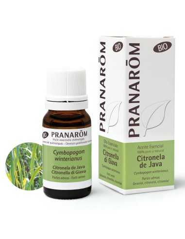 Aceite esencial, Citronela de Java, BIO, 10 ml - Pranarom.