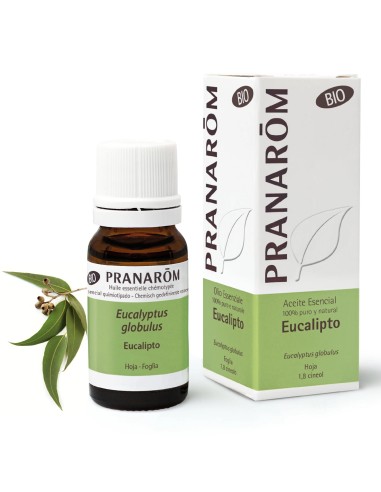 Aceite esencial, Eucalipto, BIO, 10ml - Pranarom.