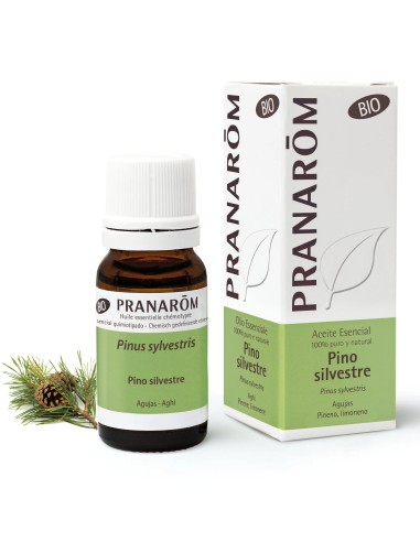 Aceite esencial, Pino silvestre, BIO, 10ml - Pranarom.