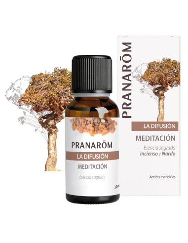 Sinergia difusión, Meditación, 30ml -...