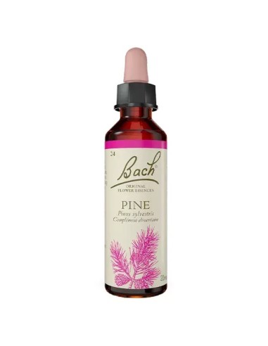 Flor de Bach, Pine (Flor de Pino) - 20 ml.