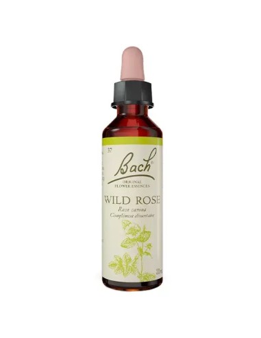 Flor de Bach, Wild Rose - 20ml.