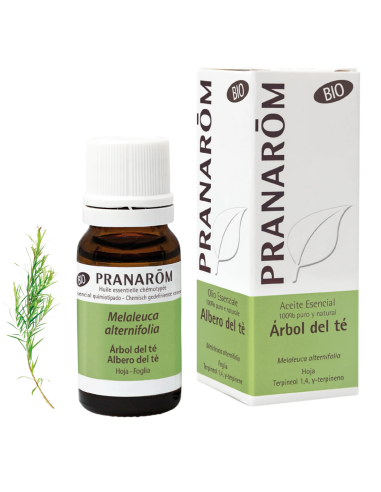 Aceite esencial, Árbol de Té, BIO, 10 ml - Pranarom.