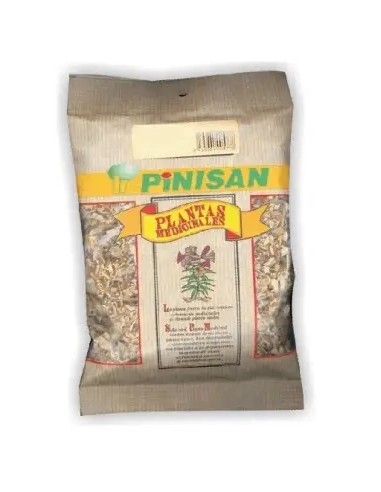 Diente de León, 50 gramos - Pinisan