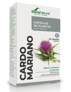 Cardo Mariano, 30 cápsulas...
