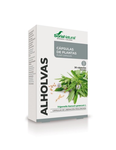 Alholvas (Trigonella, Fenogreco), 30...